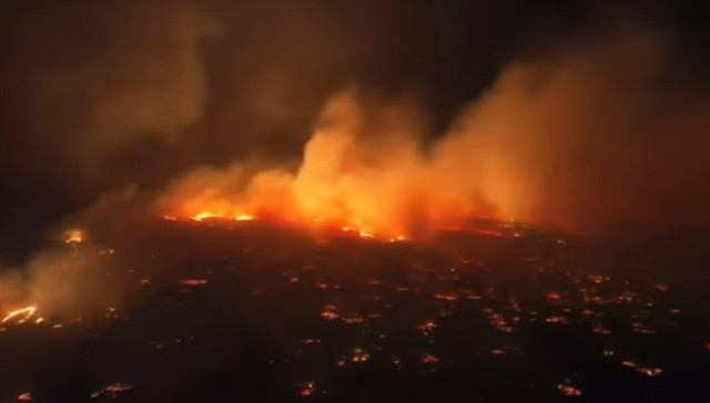 ハワイで史上最悪となったマウイ島の山火事、炎を避けようと海に飛び込む者も