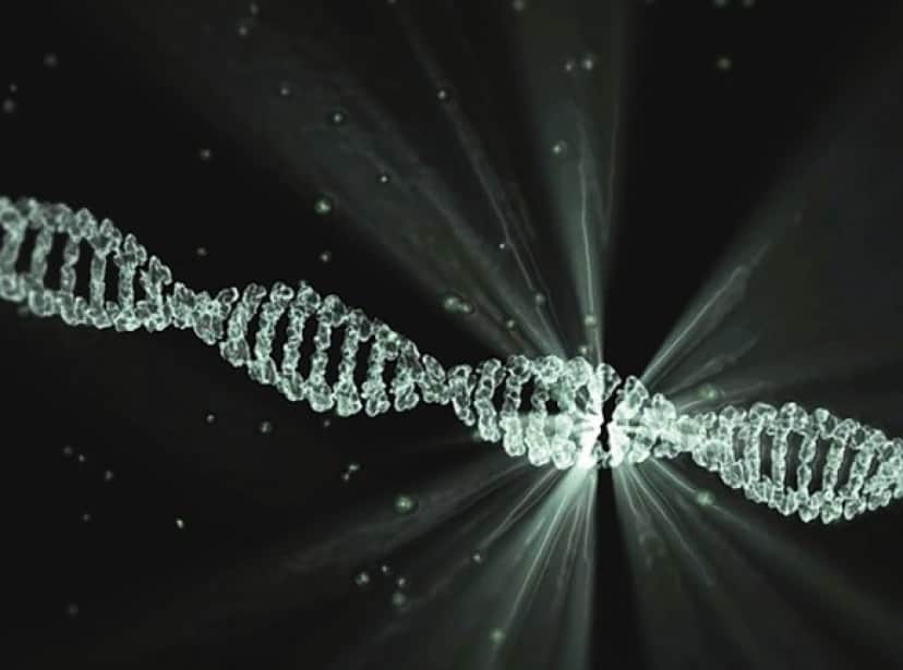 dna-2649850_640_e