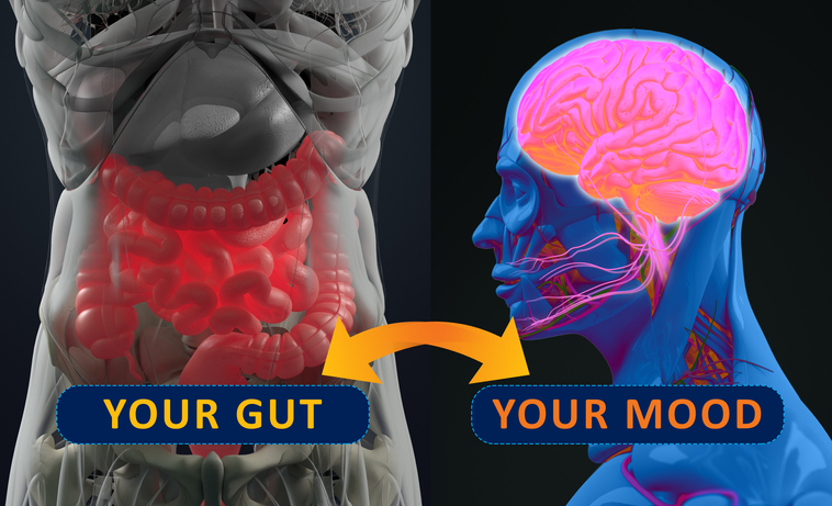 あの怒りやあの悲しみ。脳でなく実は腸が操っていた可能性（アイルランド研究）