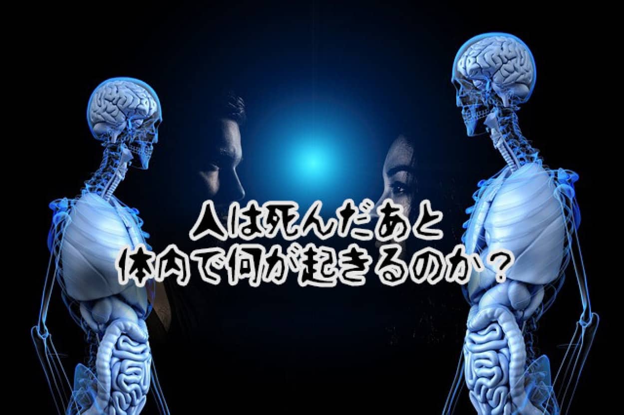 人が死んだあと、体内では何が起きるのか？放置された遺体が骨になるまでの15のプロセス