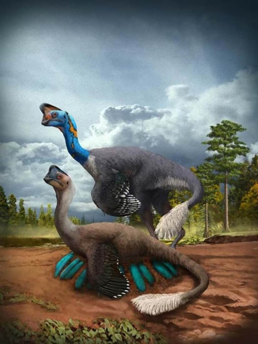 巣で卵をあたためていた恐竜と孵化する直前の卵の化石が発見される カラパイア
