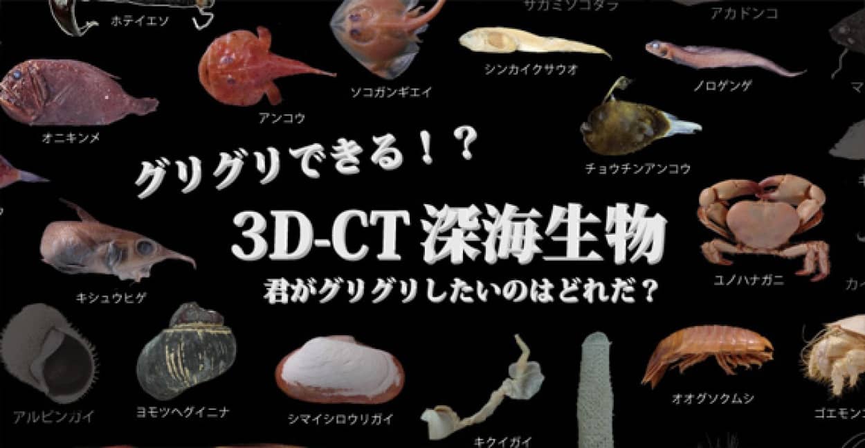 深海生物のディープに迫れ ３dctスキャンした深海生物インタラクティブサイト 東京大学大気海洋研究所 カラパイア