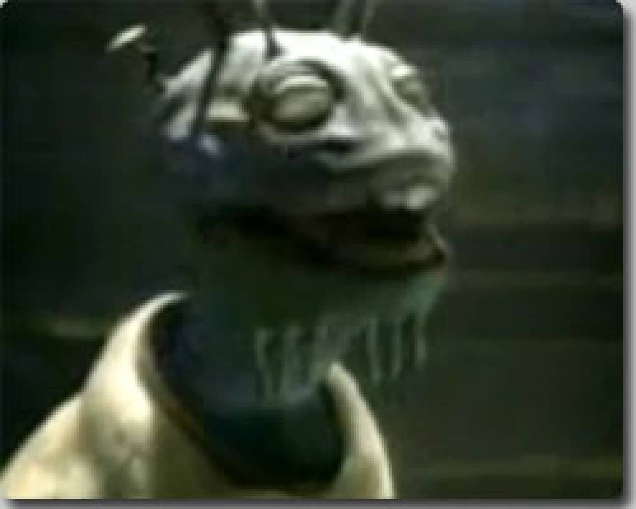inu