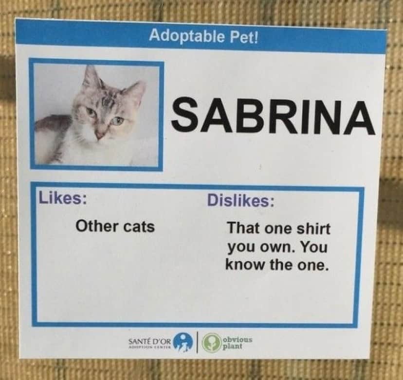 Sabrina_e