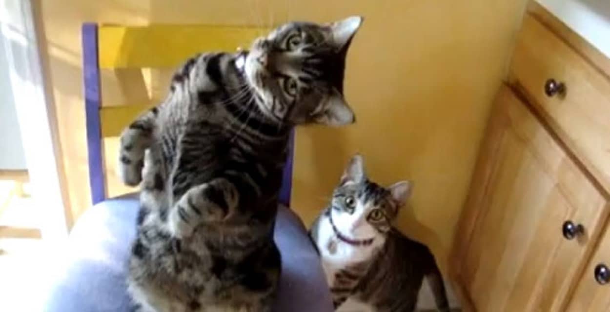 :