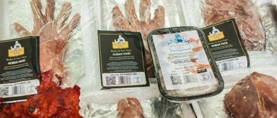 人間の肉