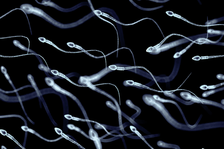 iStock-1164513662