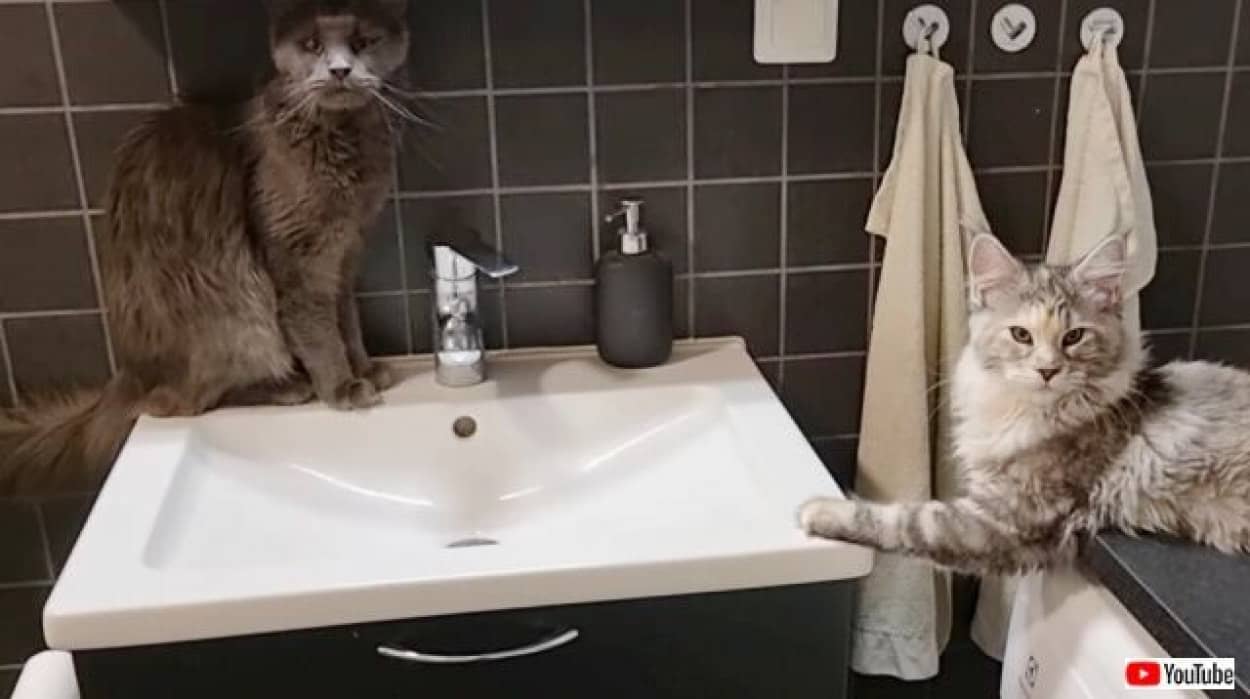 20230114_024218 (3)_batch