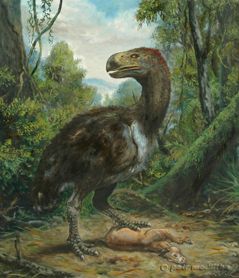 かつて最強の鳥として君臨した恐鳥 ディアトリマ カラパイア かつて最強の鳥として君臨した恐鳥 ディアトリマ カラパイア