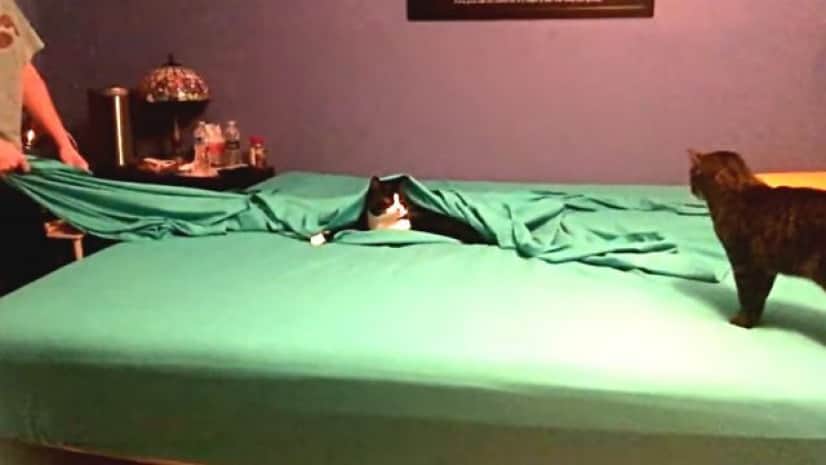 bedmaking5