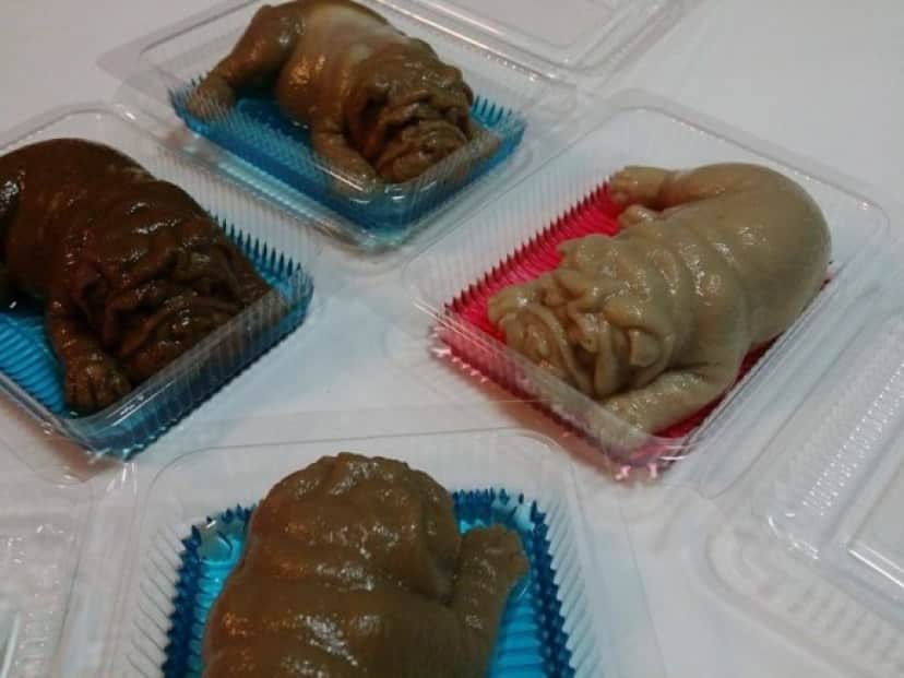 pudding5_e