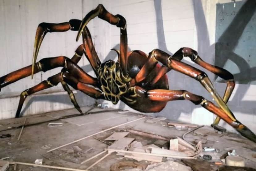 spider4_e