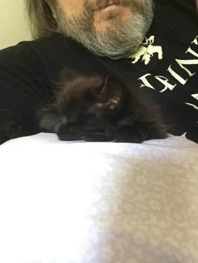 cat4_e