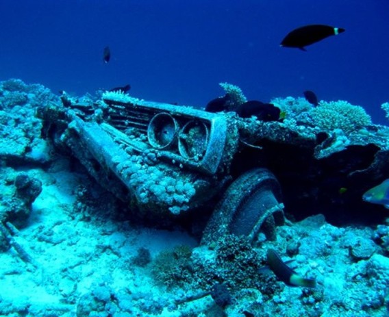 cars_reef_39_e