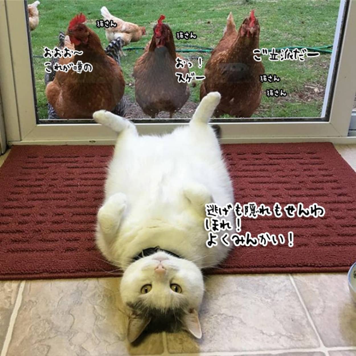 no title