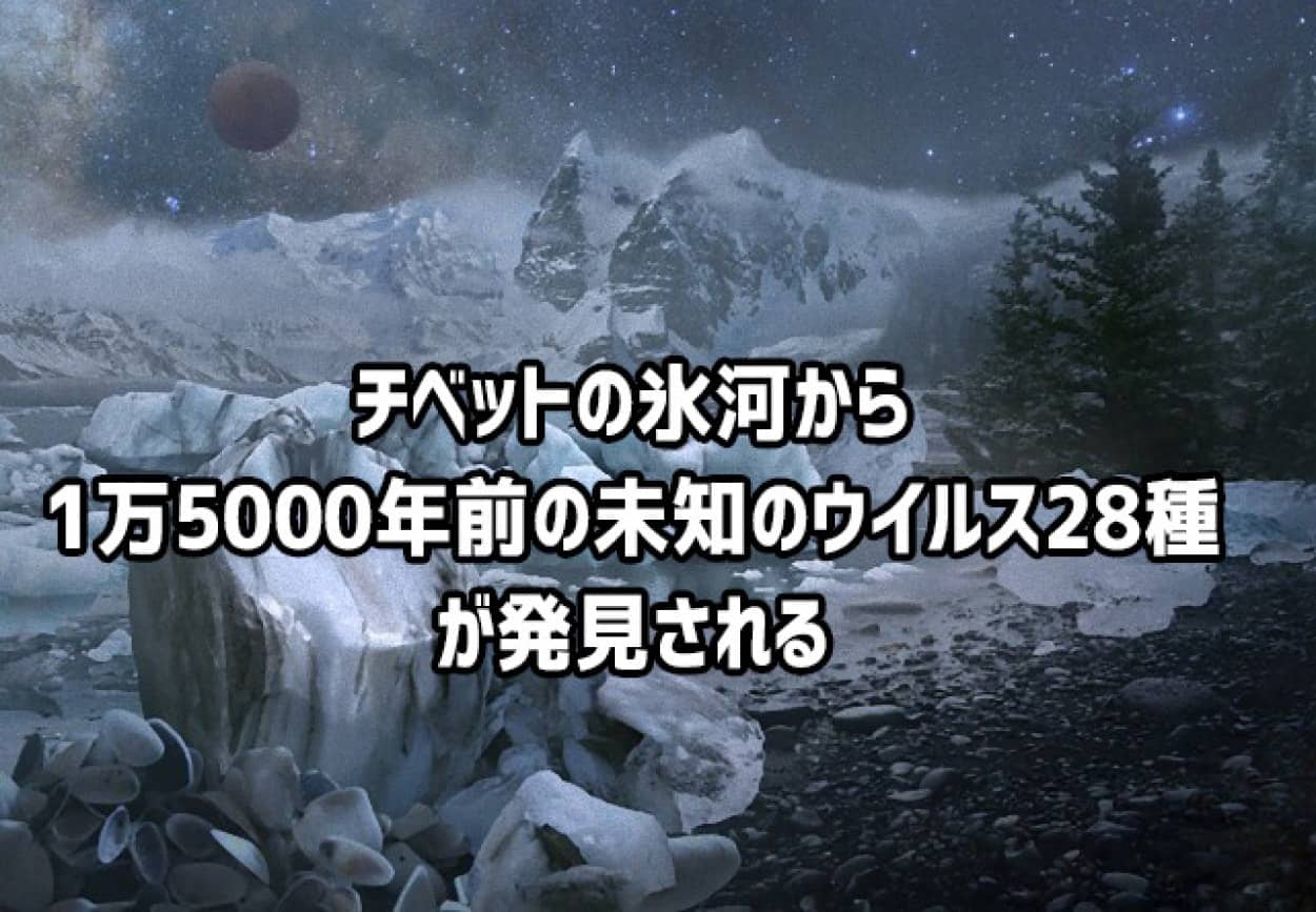 チベットの氷河から古代ウイルス28種が発見される