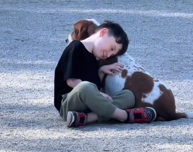 引力は最強だった。見知らぬ犬と少年が出会った瞬間から離れられない仲となる