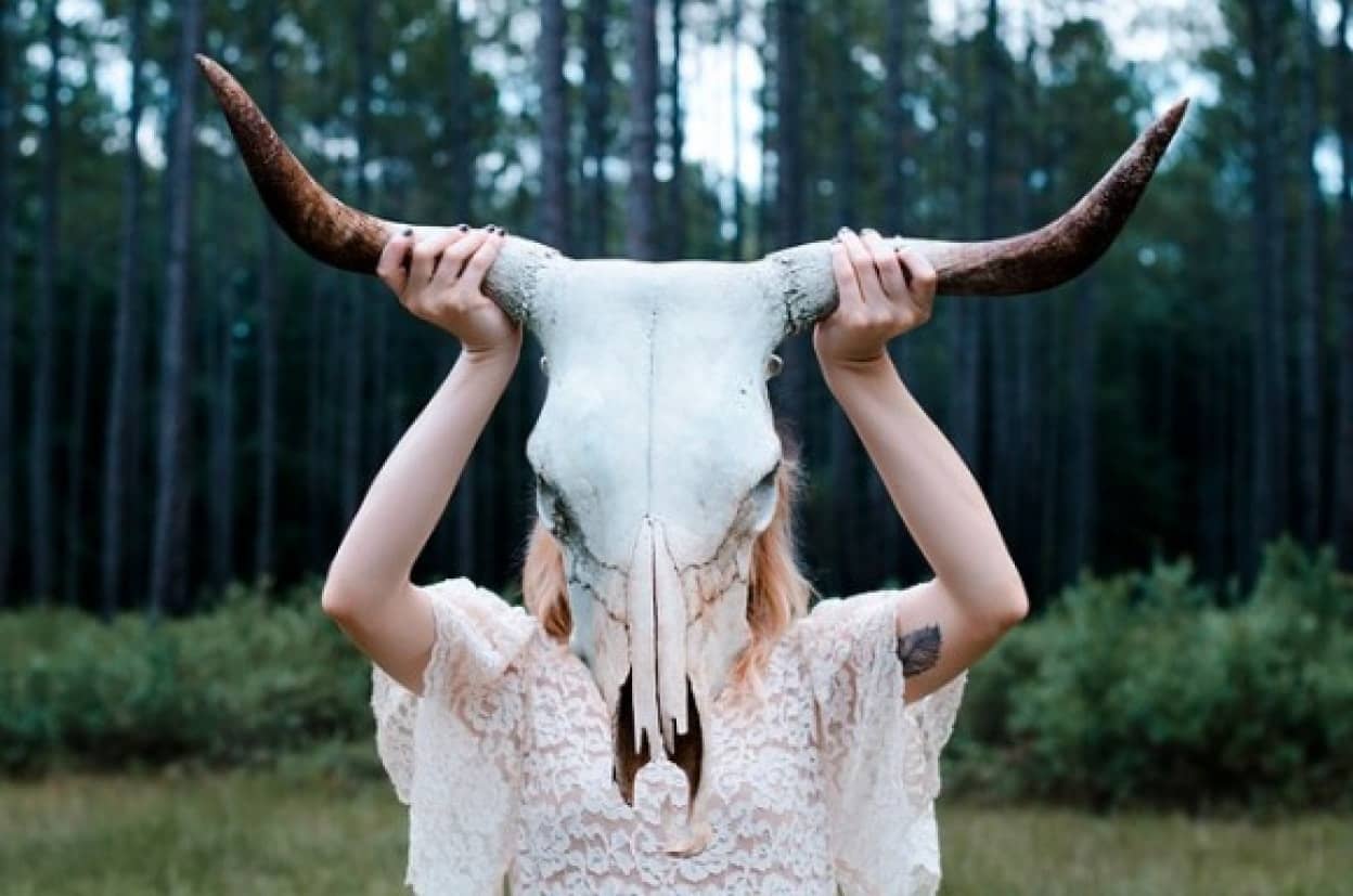 skull-690246_640_e