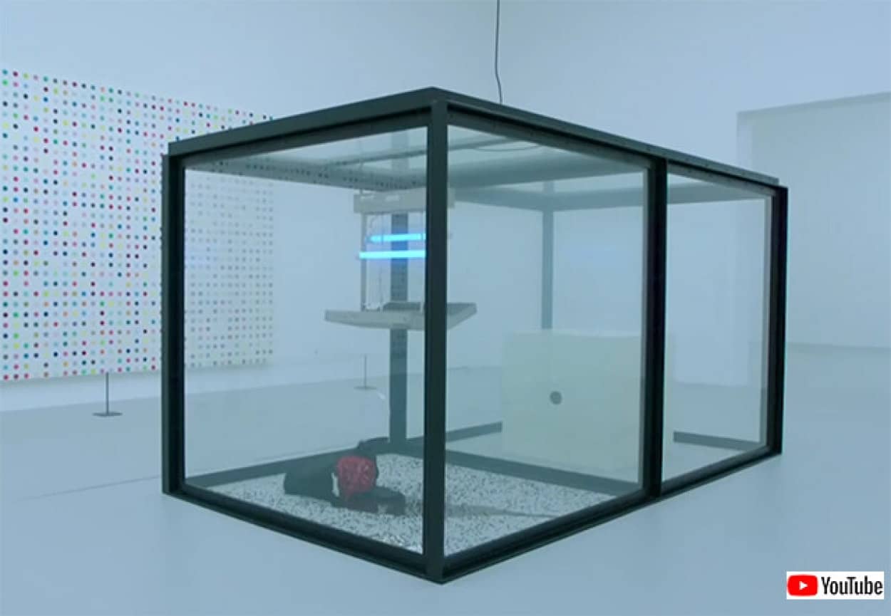 ハエを殺すアート作品が展示中止に