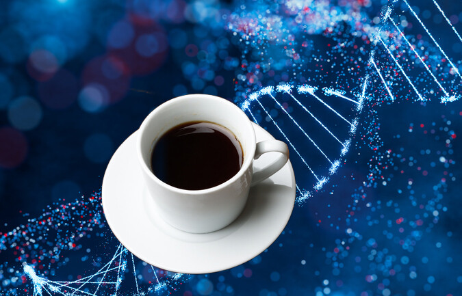 ただし個人差があります。コーヒー好きかどうかは遺伝子が関与していることが判明