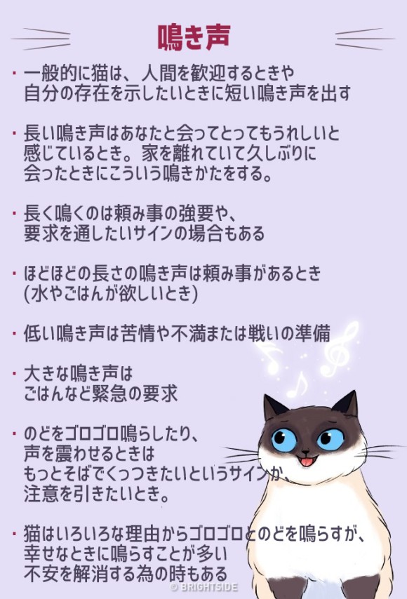 猫は雄弁 尻尾や仕草 鳴き声で多くを語る 猫語 を理解するためのイラスト カラパイア