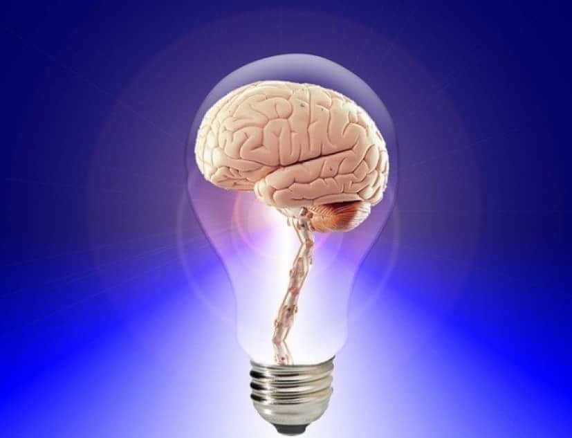 brain-20424_640_e