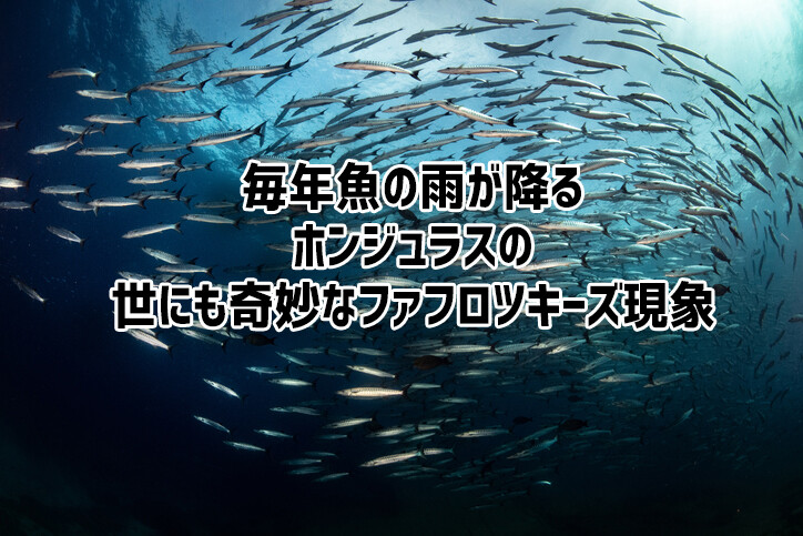 毎年必ず魚の雨が降る、ホンジュラスの奇妙なファフロツキーズ現象