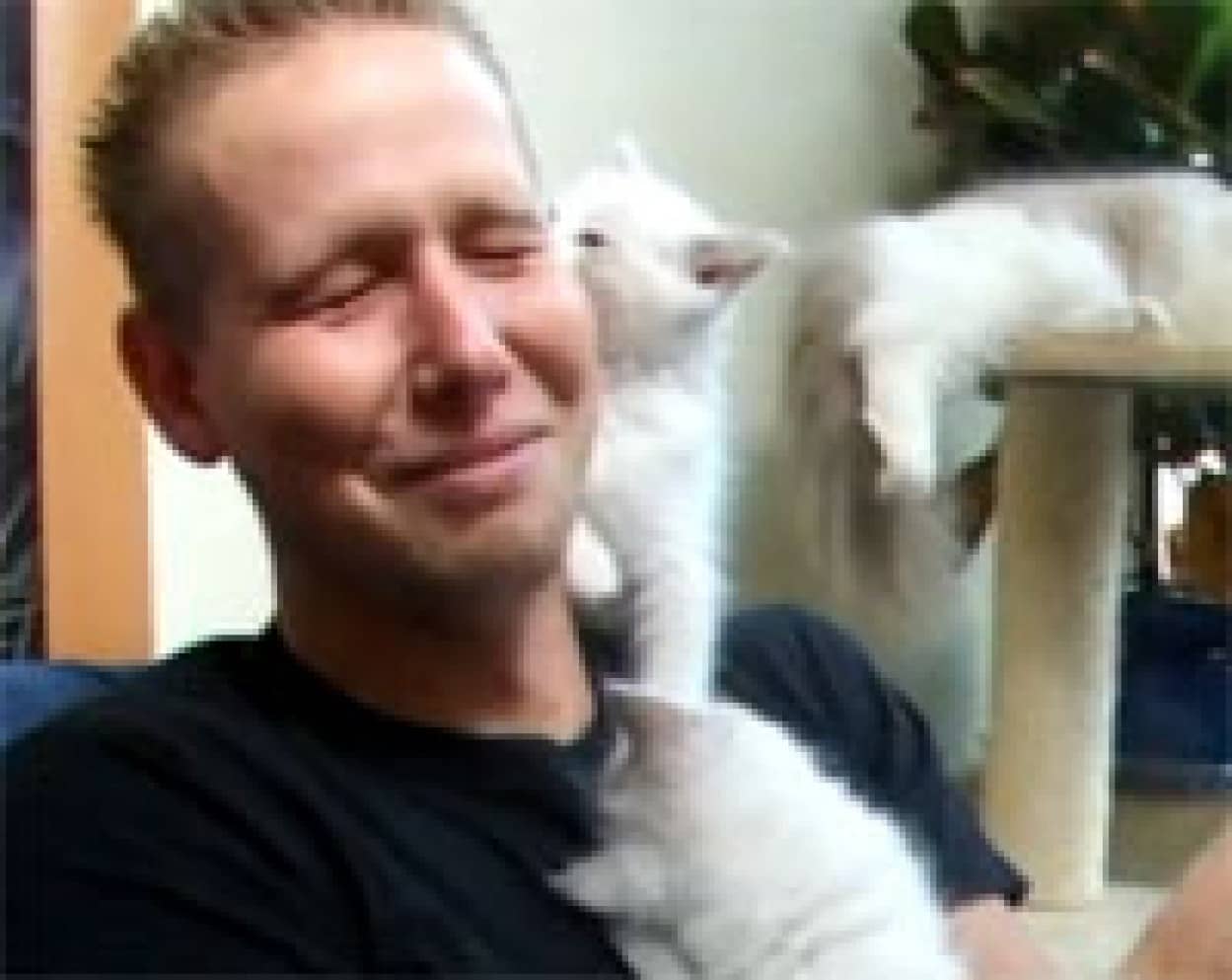 猫に愛されすぎたおにいさん うれしくてむせび泣き カラパイア 猫に愛されすぎたおにいさん うれしくてむせび泣き カラパイア