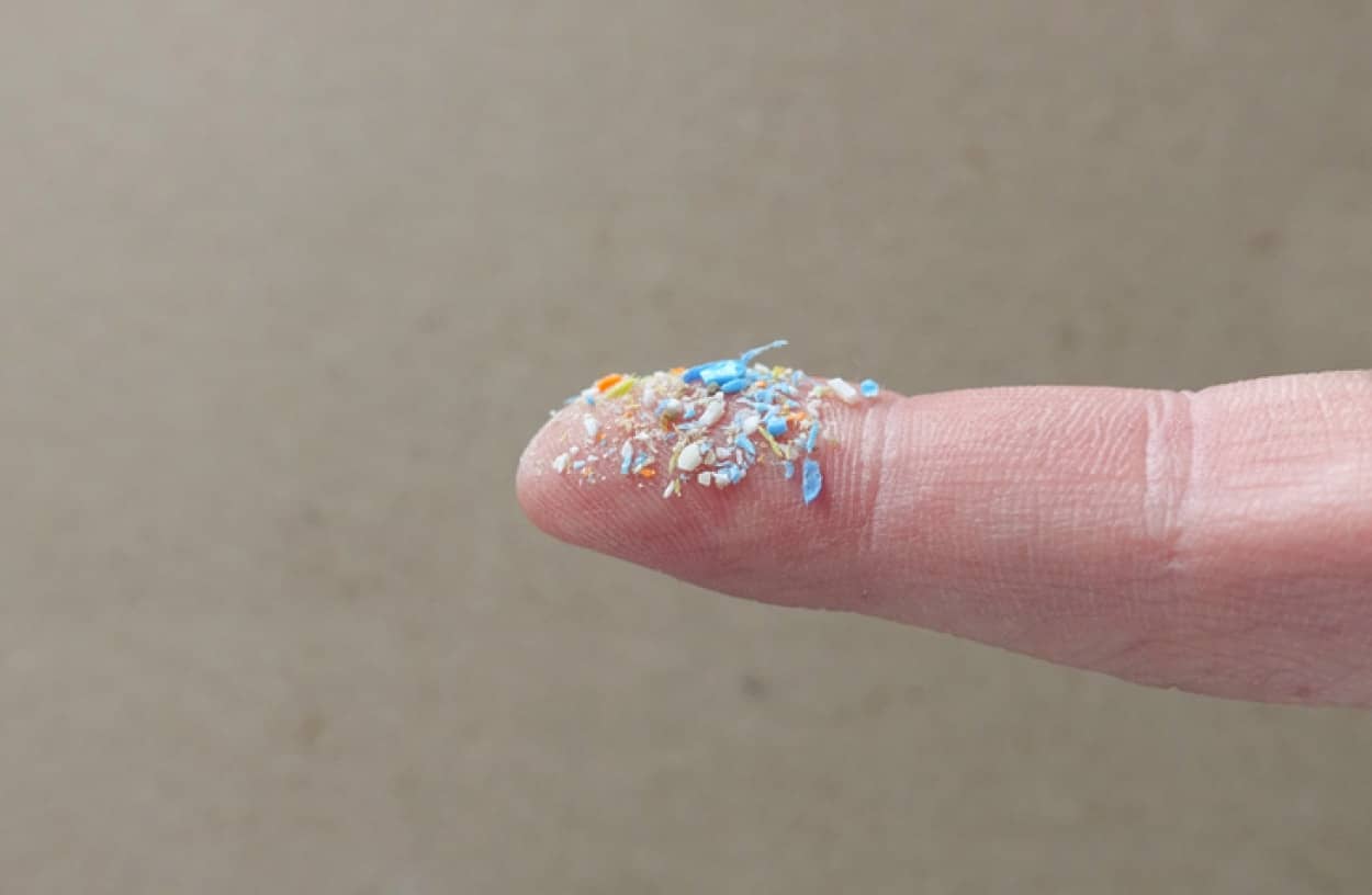 マイクロプラスチックによる健康被害
