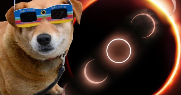 2_e3