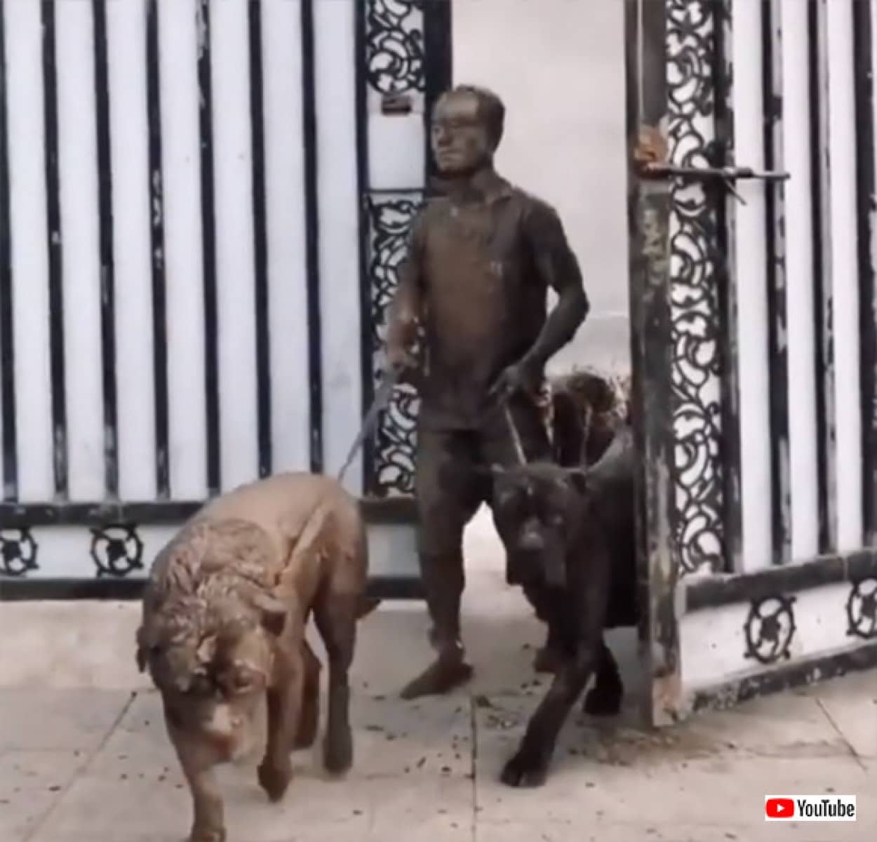 犬と人の銅像 と思ったら動いてた どうしてこうなった案件 カラパイア