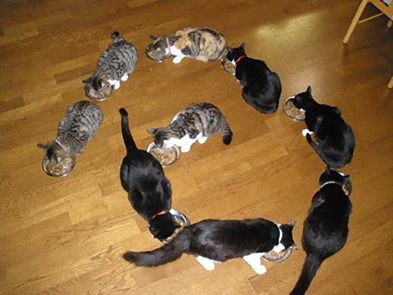 6_e