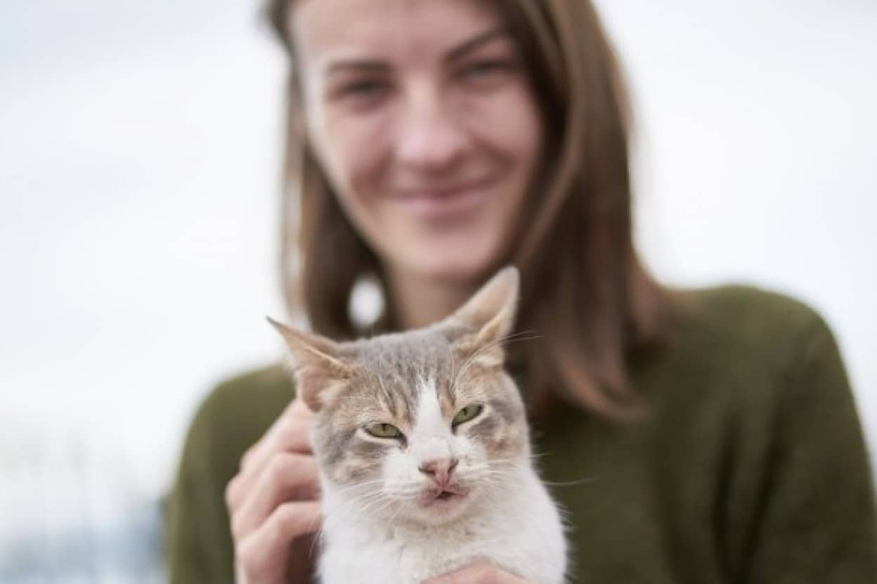 向ける 猫 おしり 猫がセミを捕まえる…食べてしまうことの危険性と食べさせない方法