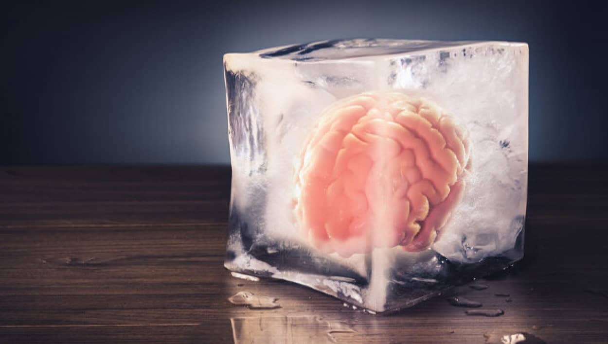 冷凍した人間の脳組織を完全に元に戻すことに成功
