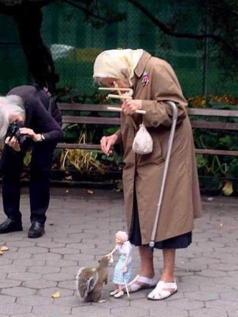 さあ つっこんでください ツッコミ待ちの状態下にある面白シュールな画像 カラパイア さあ つっこんでください ツッコミ待ちの状態下にある面白シュールな画像 カラパイア
