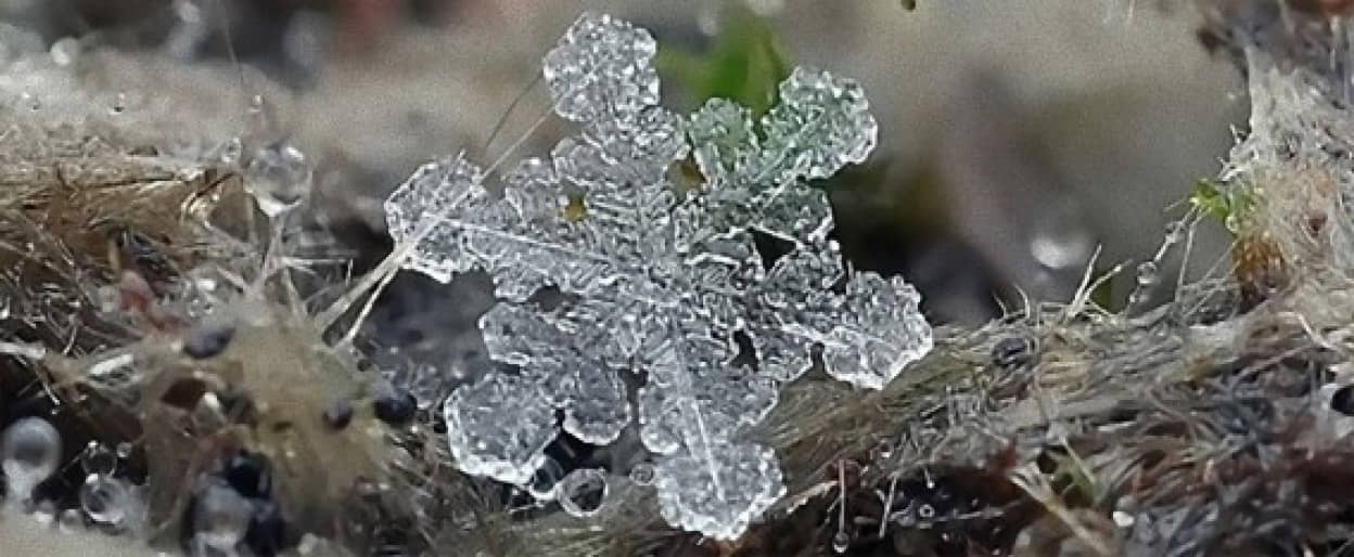 もろく儚い小さな宝石。自然が生み出した芸術作品、「雪の結晶」の接写 