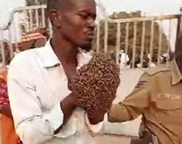 呪術師が蜂を操りバイク泥棒を捕らえ、警察へ連行させる（アフリカ）