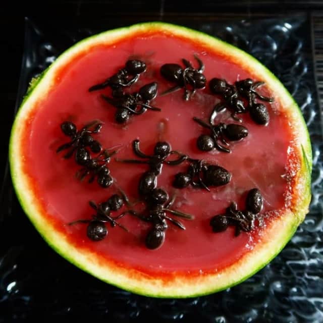 捨てるなど言語道断 スイカの皮って超体にいいらしいじゃん だもんだからおいしく食べられる漬物とピクルスにしてみた ネトメシ カラパイア