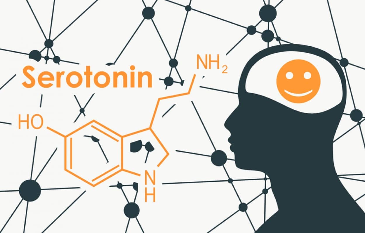 うつ病はセロトニン不足によって生じる、という従来の説に科学的根拠が得られず