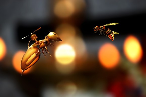 ミツバチの世界でも「アメとムチ」は有効。罰を与えられたハチはやる気を出すことが判明（フランス研究）