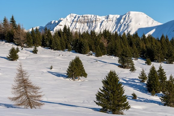altopianodiasiago-4973741_640_e
