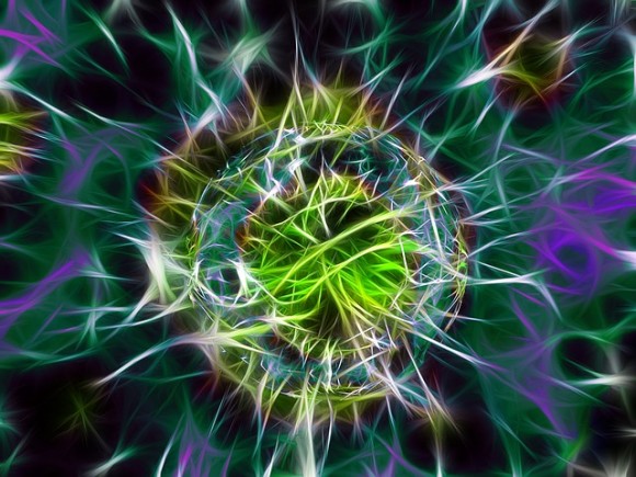 bacteria-1477522_640_e
