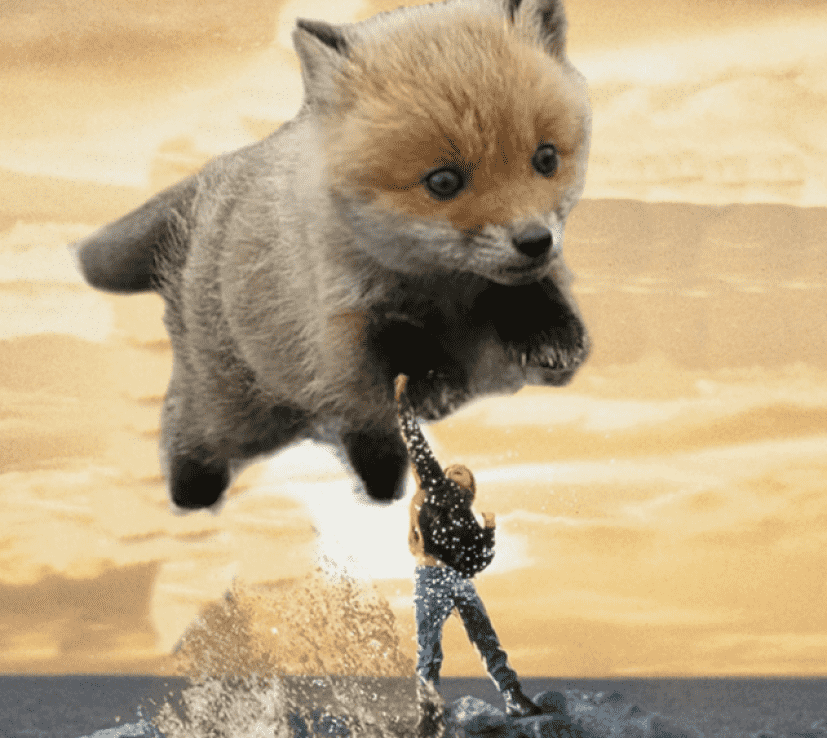 dog_e