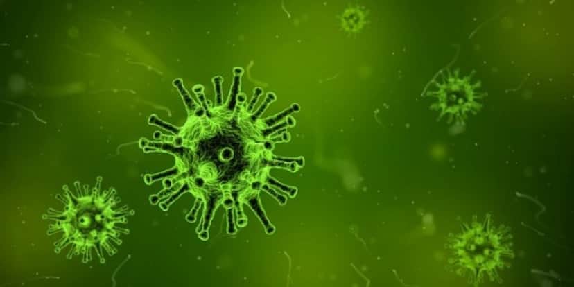 virus-1812092_640_e