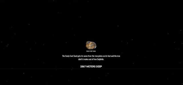 深海にはどんな生物がいるの 海の深さ順に見ることができる面白サイト The Deep Sea カラパイア 深海にはどんな生物がいるの 海の深さ順に見ることができる面白サイト The Deep Sea カラパイア