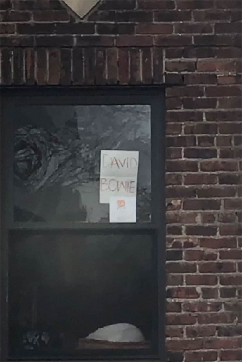 cat_e0