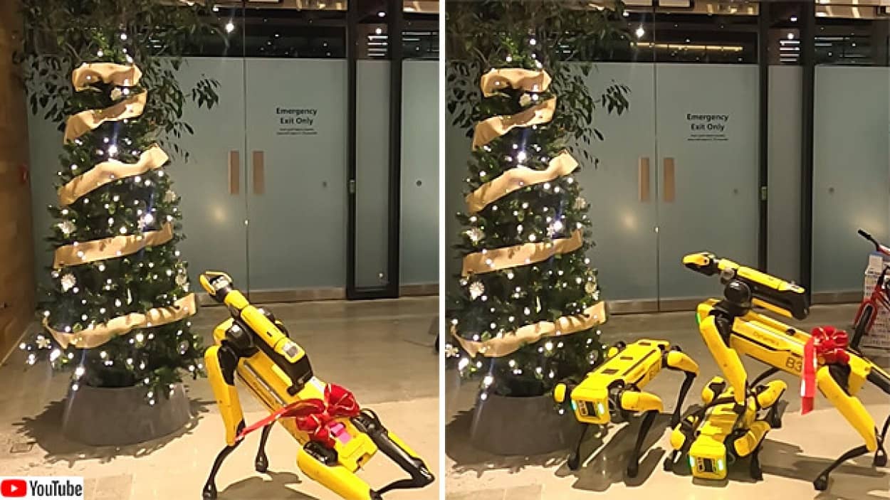 犬型ロボットがクリスマスツリーの飾りつけ