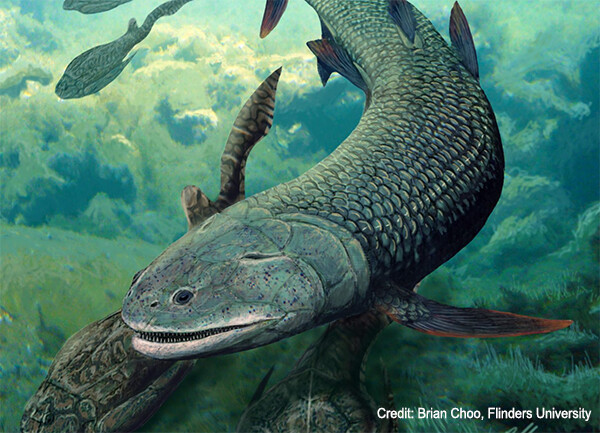 頭のてっぺんのあなで呼吸をしていた3億8000万年前の古代魚の化石