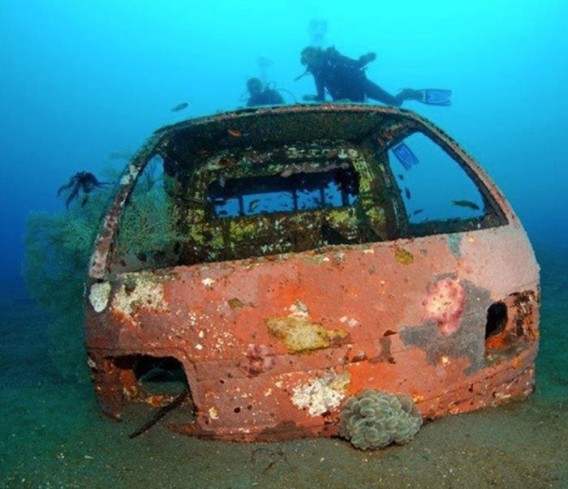 cars_reef_04_e