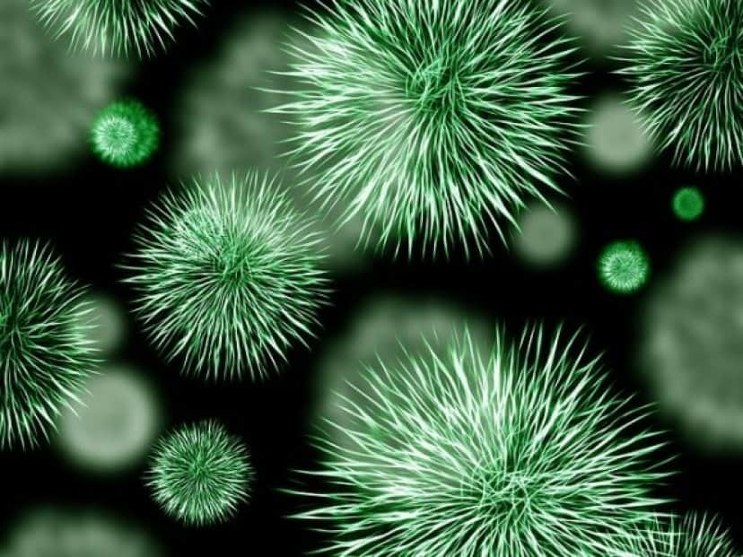 bacteria-426997_640_e